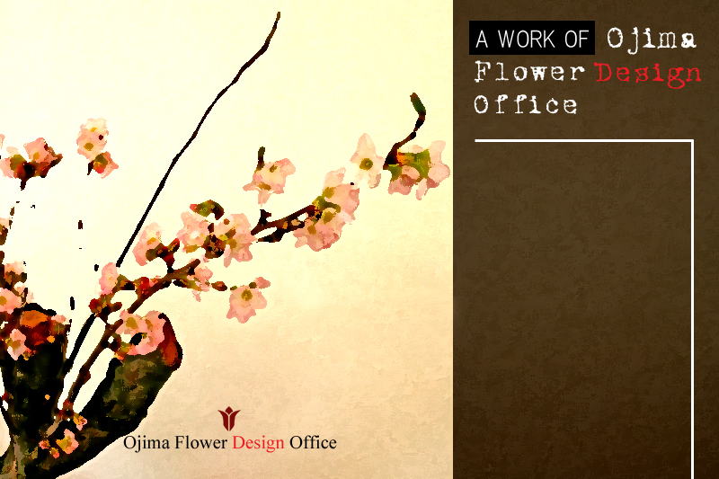 Ojima Flower Design Office ��i�W